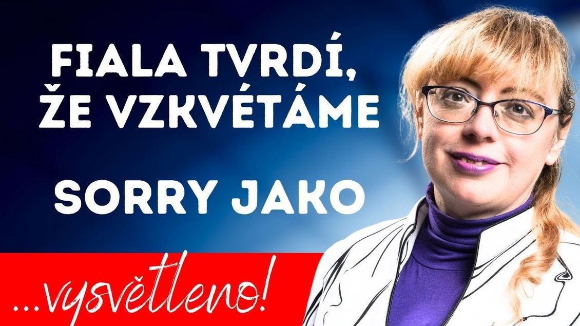 ILONA ŠVIHLÍKOVÁ: "Fialova vláda způsobila totální ukrajinizaci české politiky."